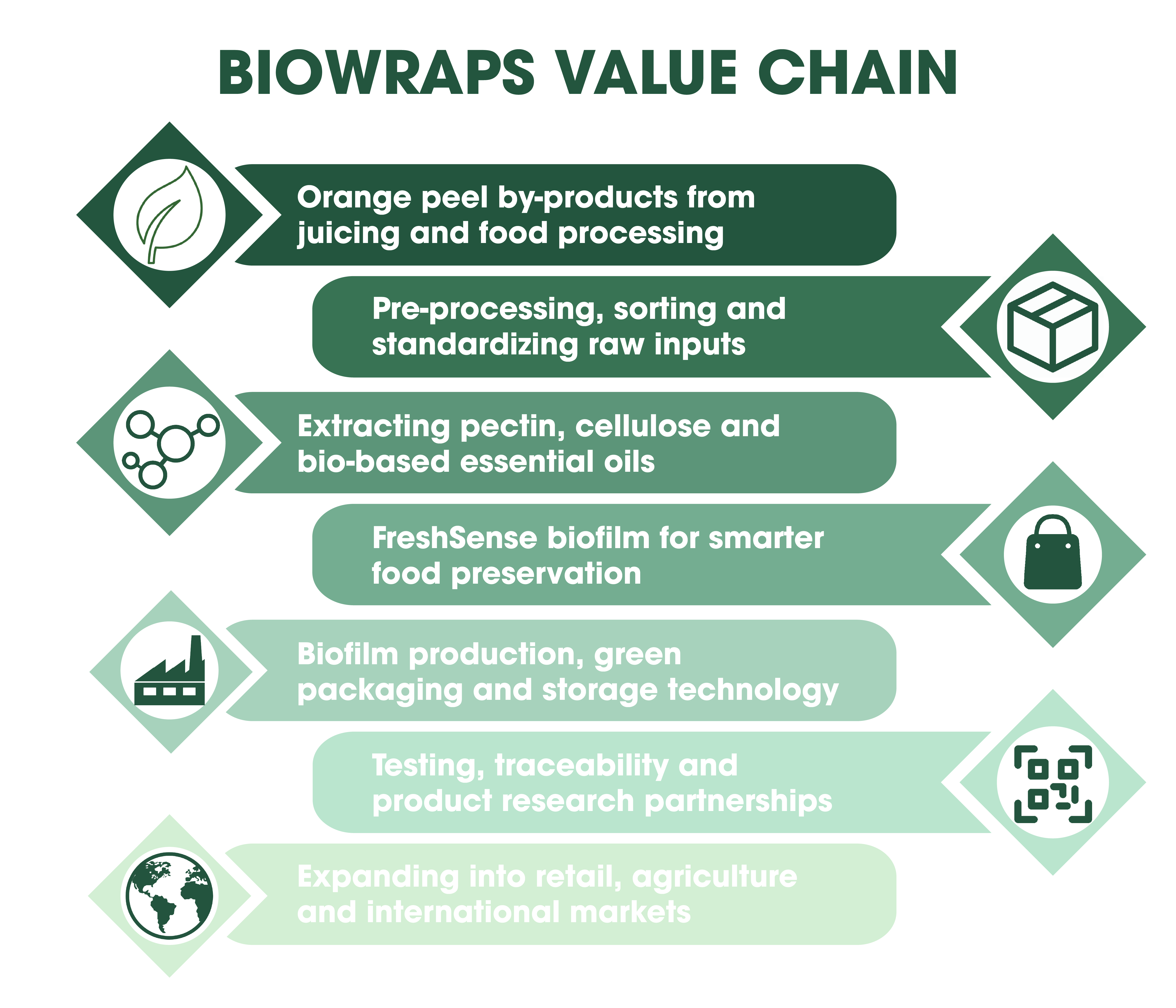 BioWraps value chain